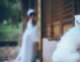 微密圈 – 红睡衣下的软柔反击，套图分享：好H好女杀手的绝招到底是？