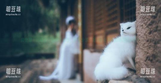 好H好女杀手 微密圈 - 红睡衣下的软柔反击,套图分享:好H好女杀手的绝招到底是?