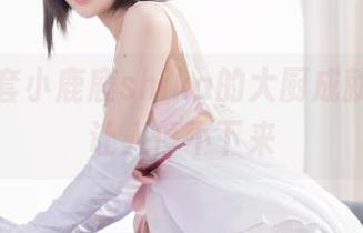 收好这套小鹿鹿shika的大厨成就，图片让人停不下来