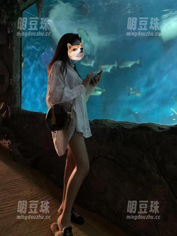 微密圈 - 蕾丝如梦，林子喵Lynne的写真集，资源不太好找哦。