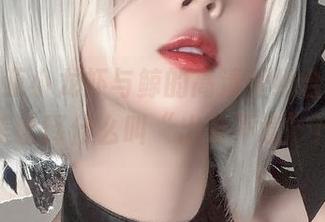 瓦斯塔亚小龙虾与鲸的高清壁纸合拍，完美诠释什么叫“出奇不意”！